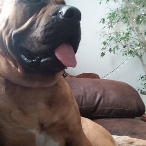 Meet your Posher, Tara